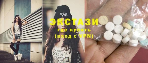 ECSTASY Богородицк